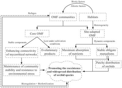 Progress and Prospects of Mycorrhizal Fungal Diversity in Orchids